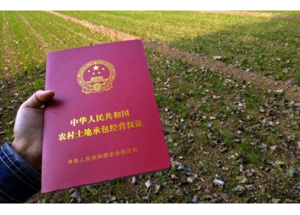 農村土地承包經營權確權項目